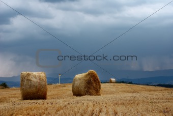 Straw and moody sky