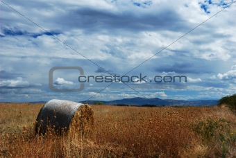 Hay bale in a golden dry field under dramatic sky                                 