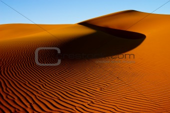 Golden sand dune