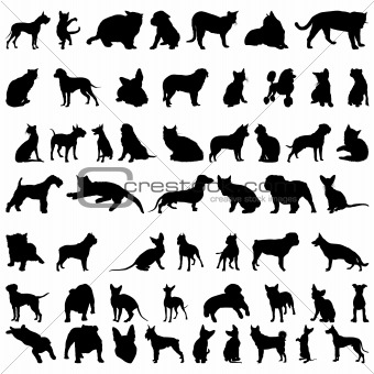 pets silhouettes # 1