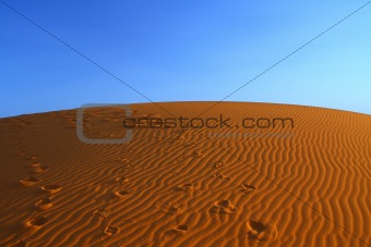 sunset over Sahara
