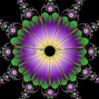 Floral Roundel in Green and Purple