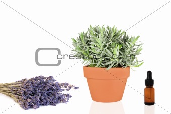 Lavender Herb Products