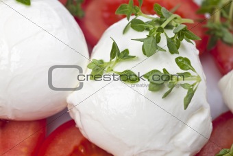 caprese: tomatoe, basil and mozarella cheese