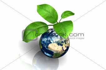 Planet earth with leaf
