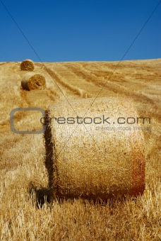 Straw bales in a line