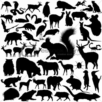 Detailed Vectoral Wild Animal Silhouettes