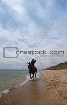 Beach Gallop / summer freedom