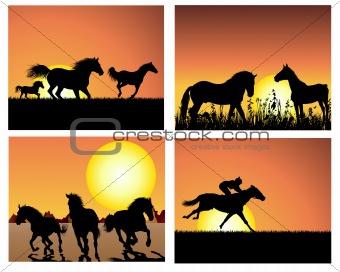 horse on sunset backgrounds set