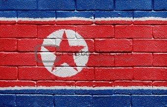 Flag of North Korea on brick wall
