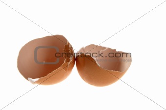 Eggshell open in two parts