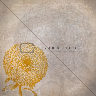 flower floral cover