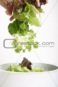 Tossed lettuce