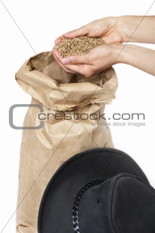 Hands showing good rye grain
