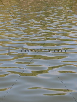 Ripples