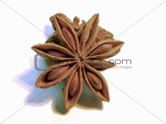 star of anise