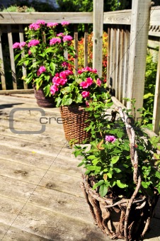 Flower pots on house deck