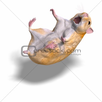cute hamster is falling