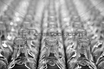 Glass square transparent bottle rows