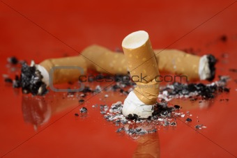 Cigarrette butts