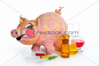 Beautiful little pink pig with medicine AH1N1