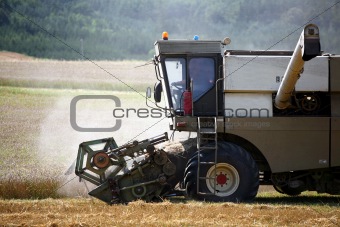 Machine harvesting field of vheat