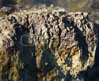 Marine rock on docks, barnacle