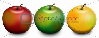 3 Apples Raster Illustration