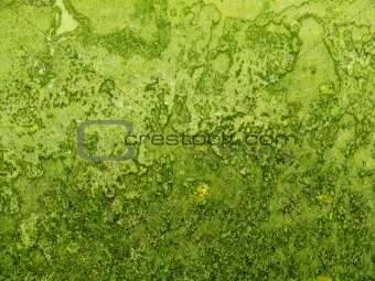 Background green rough texture