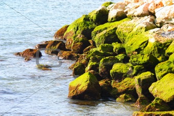 Rocks on an ocean coast