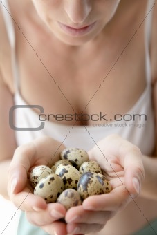 woman hands holding fragile quail eggs