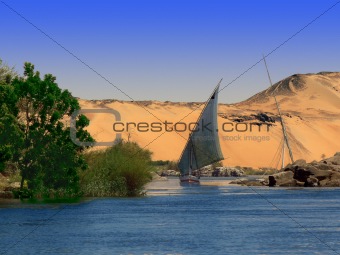 The Nile River Bank with Felucca