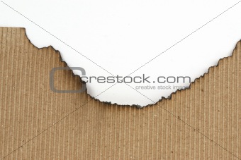 wizened paper