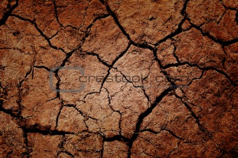 Cracked Earth