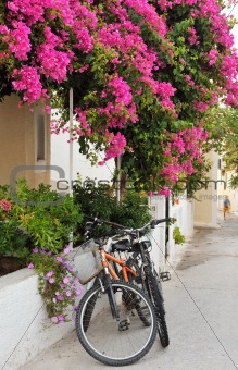Greek island village alley