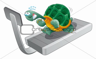 Turtle fitness