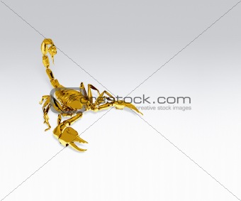 golden scorpion