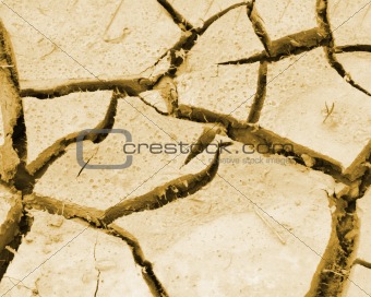 cracked ground