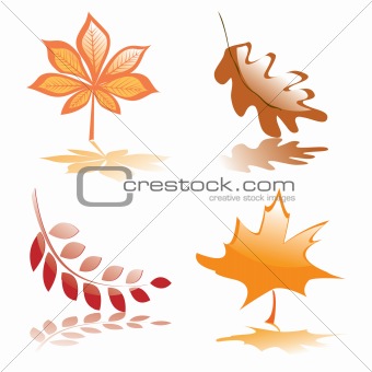 Four glossy autumnal leaves