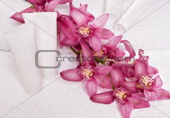 Cream tube and orchid 