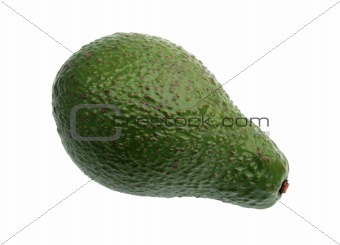 Single green avocado.