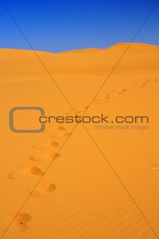 footsteps on sand dunes