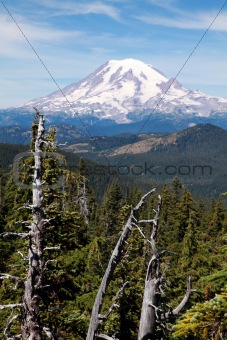 Mount Rainier with Trees