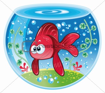 Baby fish in water