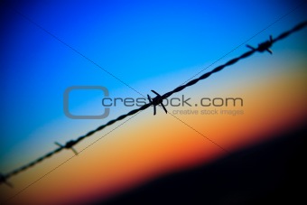 close-up of barbed wire dripping on sunset sky 