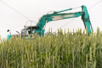 Wheat field and digger
