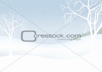 White Christmas - winter scenery