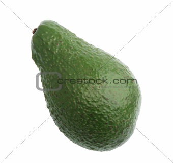 Single green avocado.