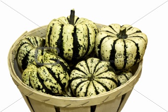 Ornamental squash isolated against a white background