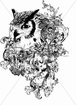 Floral Owl Illustration